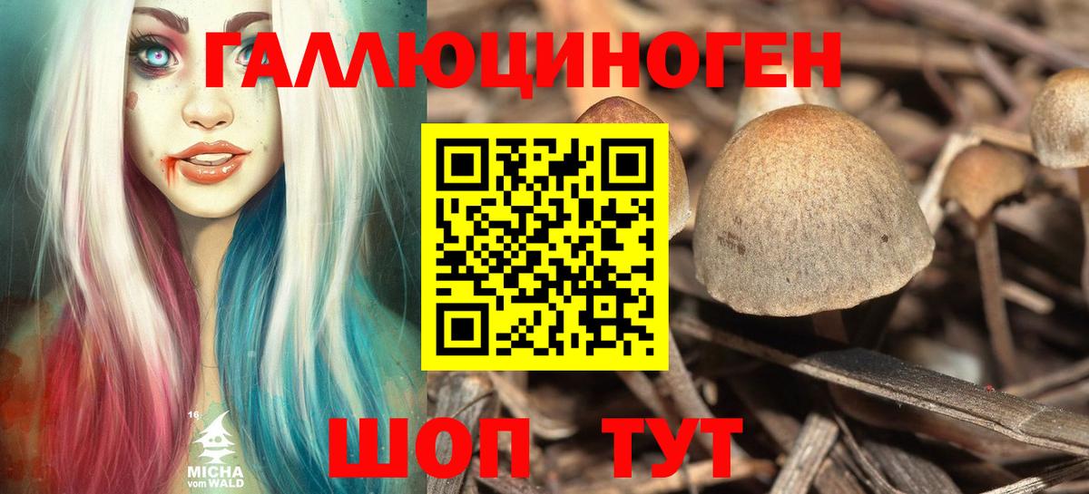 Скопин  Галлюциногенные грибы Cubensis  даркнет сайт  Вход с VPN 